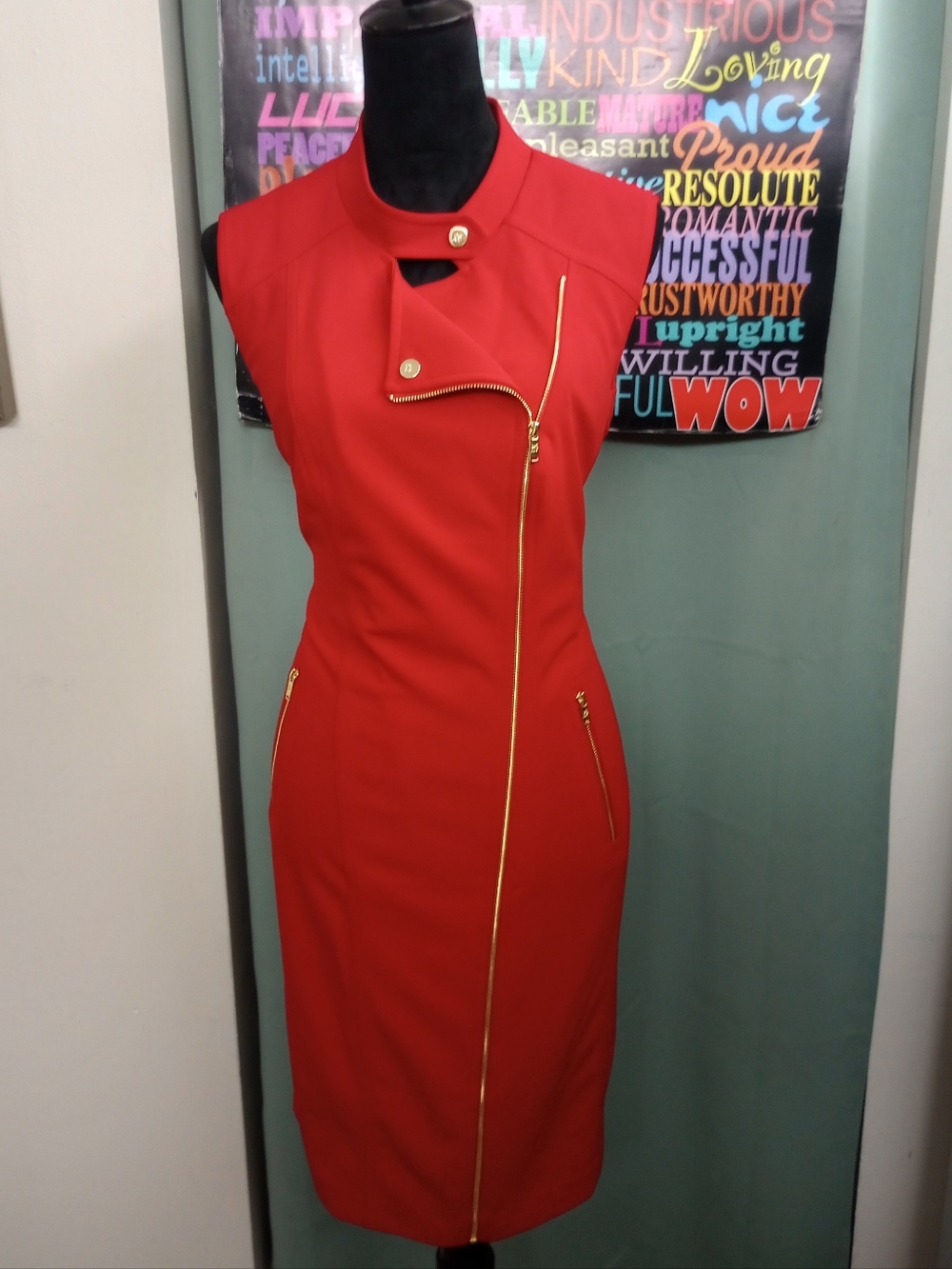 Distinguished Red DKNY Dress with Gold Zipper Detail!.